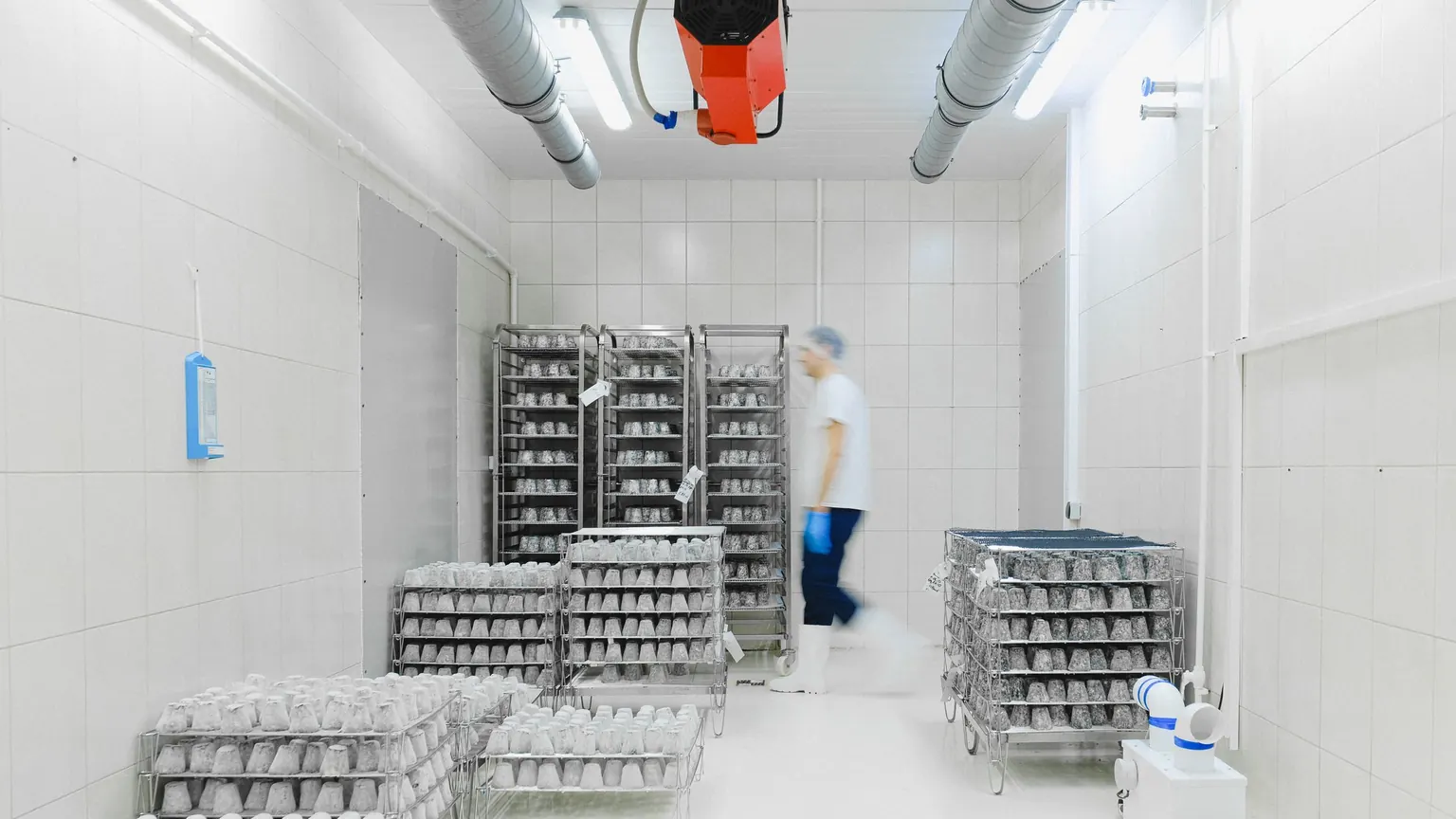 Kho lạnh thực phẩm lát trắng, các xe kệ inox chở khay nguyên liệu, một nhân viên đội mũ trùm tóc đi ngang